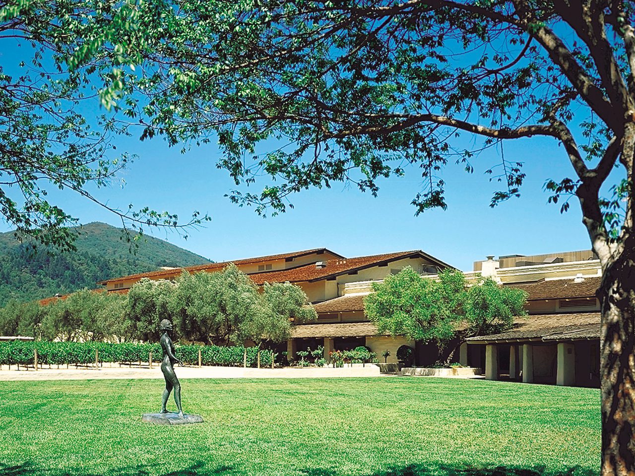 Exterior landscaping at Robert Mondavi Winery