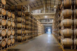 barrel room in a winery housing hundreds of wine barrels for aging 