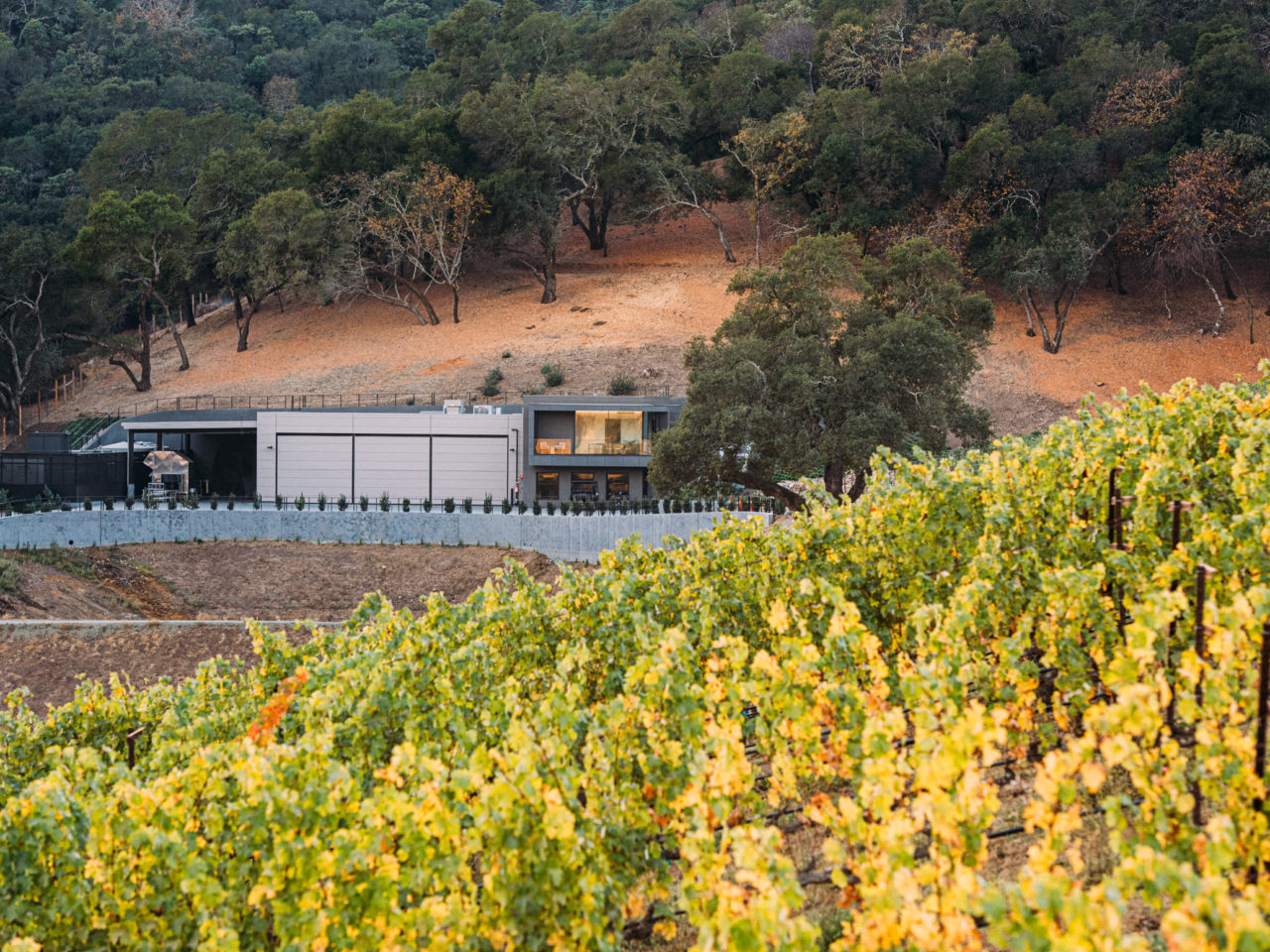 Realm Cellars winery construction built by FDC in Napa, CA