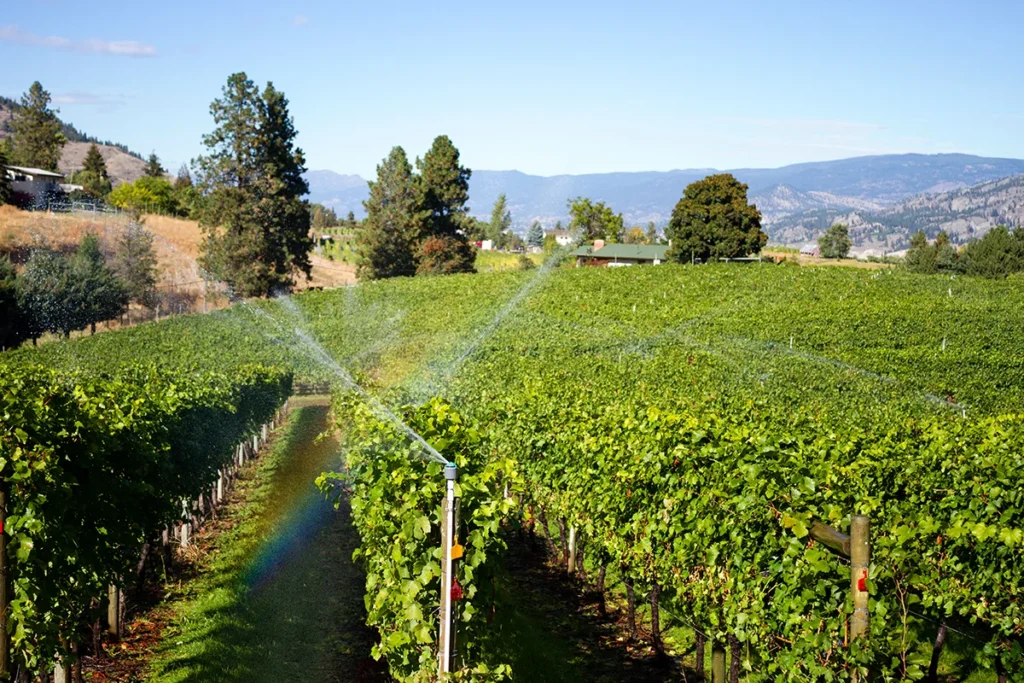 Water conservation for green winery construction in Sonoma County